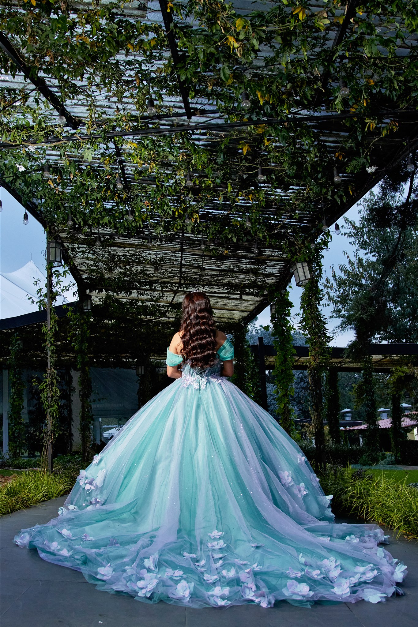 BODAS  &  QUINCEAÑOS